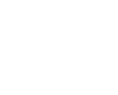 clinica-veterinaria-ruzafa-valencia