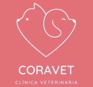 clinica-veterinaria-ruzafa-valencia
